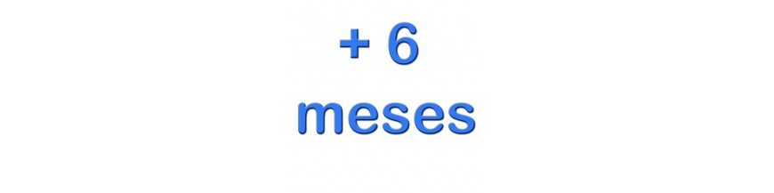 +  6 Meses